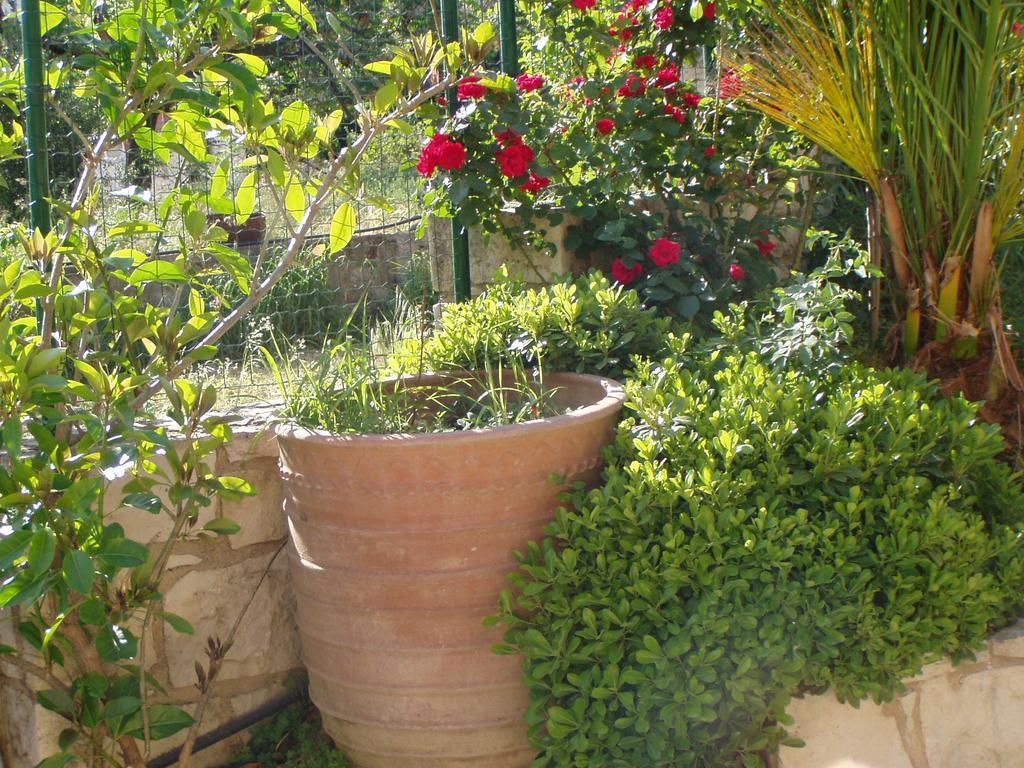 Christina Villas- Minoan Inland Pentamodi Ngoại thất bức ảnh