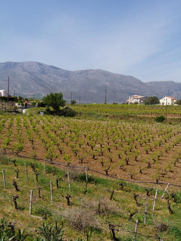 Christina Villas- Minoan Inland Pentamodi Ngoại thất bức ảnh